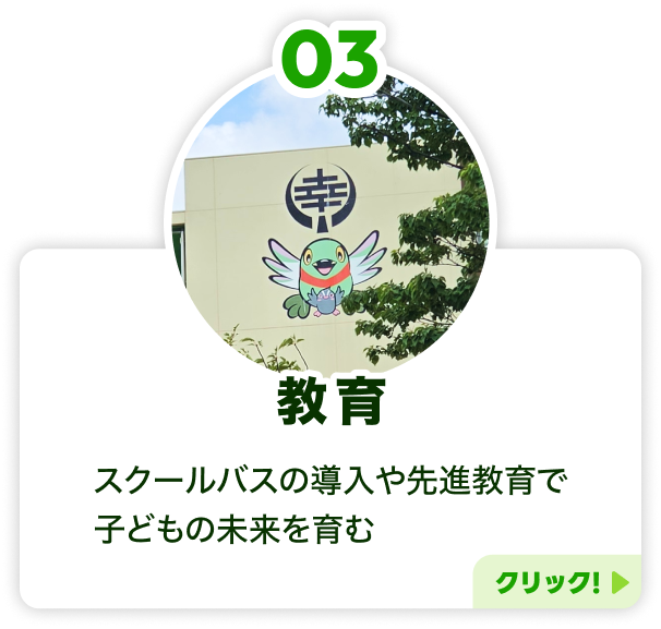 3.教育