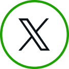 公式X